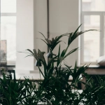 Хитрые уловки немецких игорных сайтов и операторов казино онлайн